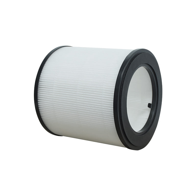 2x HEPA-Filter für Philips AC0819/10, AC0820/30, AC0830/10,FY0194/30, 800er Serie